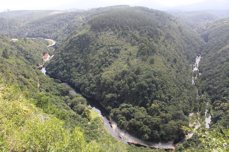 Map Of Africa View in Wilderness