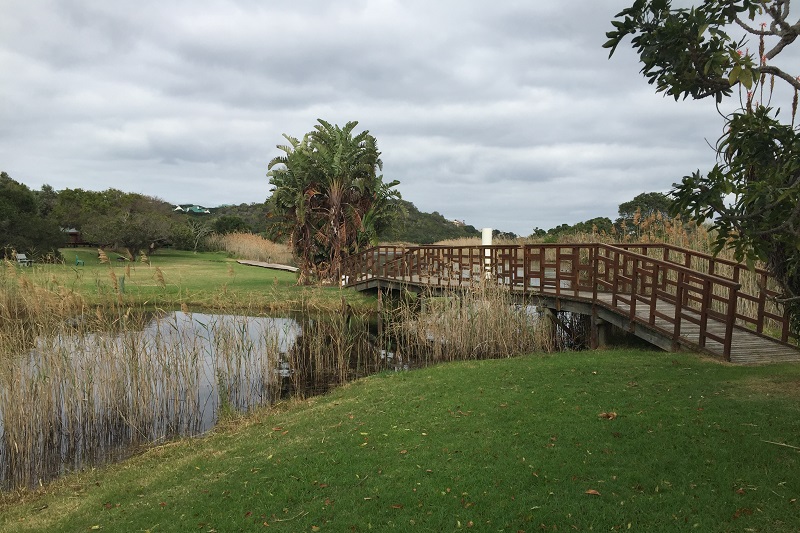 Ebb and Flow Bridge